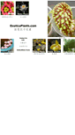 Mobile Screenshot of exoticaplants.com