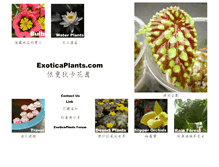 Tablet Screenshot of exoticaplants.com